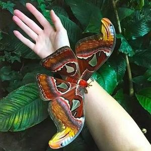 Meet your Posher, Jeannine